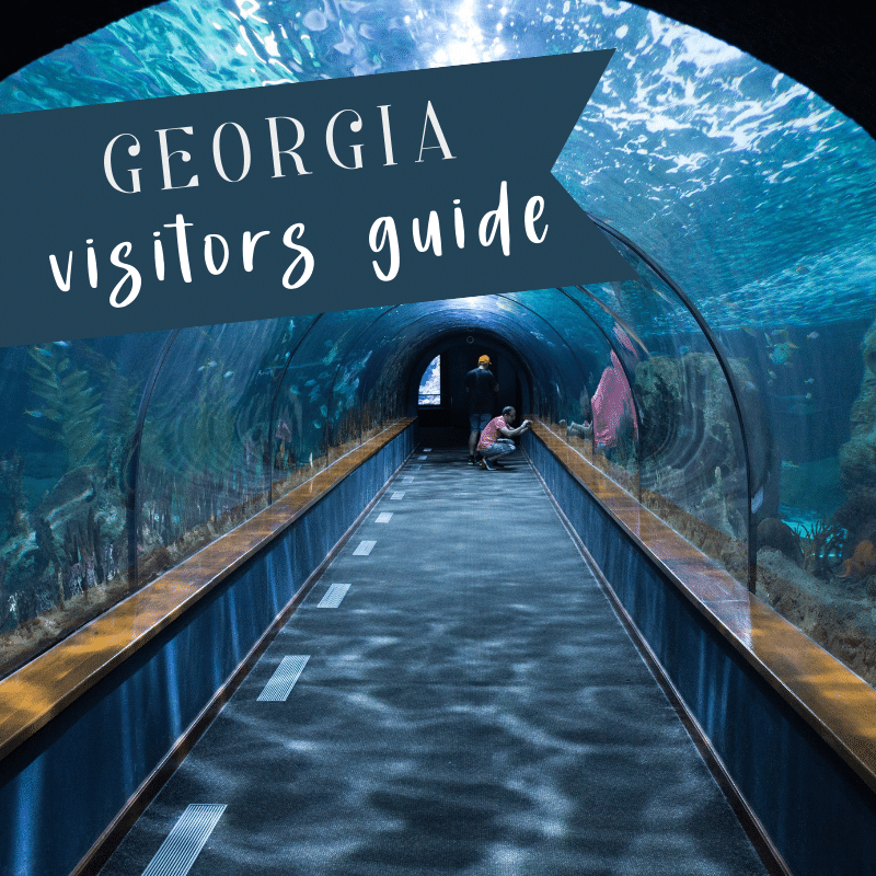 Georgia Visitors’ Guide