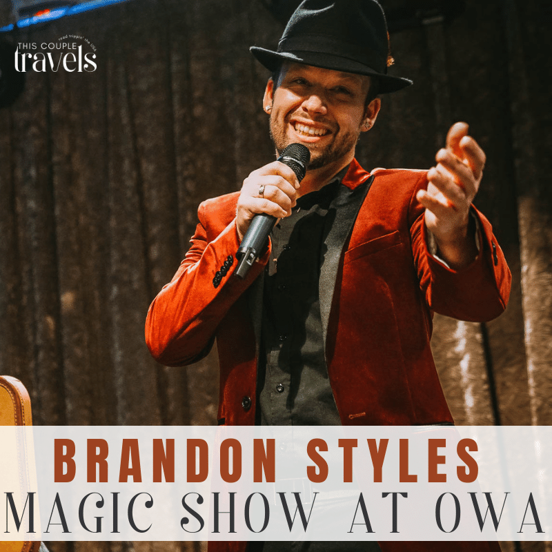 Brandon Styles Comedy Magic Show Review