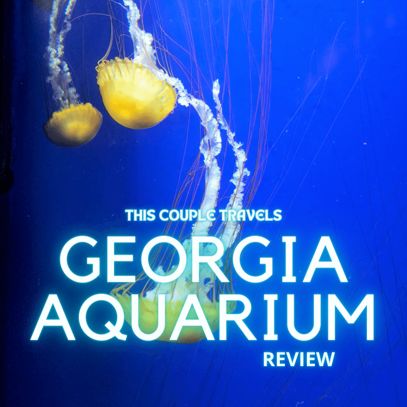 Georgia Aquarium review: is it worth a visit?